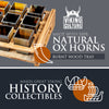 Viking Culture Horn Shot Glasses - Authentic Medieval and Nordic-Inspired Drinkware with Wooden Serving and Storage Tray - Handmade Drinking Set - Perfect for Parties, Collection and Gift - 12-Pack