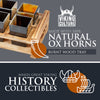 Viking Culture Horn Shot Glasses - Authentic Medieval and Nordic-Inspired Drinkware with Wooden Serving and Storage Tray - Handmade Drinking Set - Perfect for Parties, Collection and Gift - 6-Pack