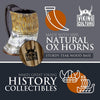 Viking Culture Ox Horn Mug, Shot Glass, and Bottle Opener (3 Pc. Set) Authentic 16-oz. Beer Tankard | Vintage Stein with Handle, The Jarl
