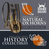 Viking Culture Ox Horn Mug, Norse Pendant, and Bottle Opener (3 Pc. Set) Authentic 32-oz. Ale, Mead, and Beer Tankard | Vintage Stein with Handle | - Polished Finish | Without Design