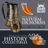 Viking Culture Ox Horn Mug, Norse Pendant, and Bottle Opener (3 Pc. Set) Authentic 32-oz. Ale, Mead, and Beer Tankard | Vintage Stein with Handle | - Natural Finish | The Ring
